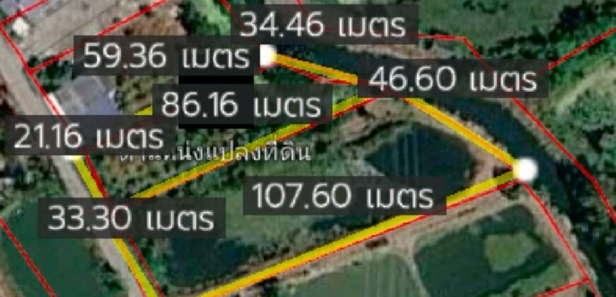 ขายยกแพ็คคู่ที่ดินแปลงสวน 2 แปลงติดกันผังสีเขียวทำเลทอง EEC