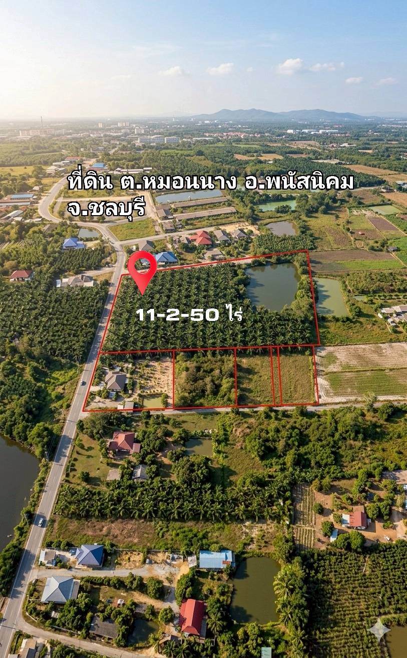 ขายที่ดินผังสีเหลืองอ่อน พนัสนิคมหมอนนางชลบุรี