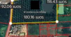 ขายที่ดินผังสีเหลืองอ่อน พนัสนิคมหมอนนางชลบุรี