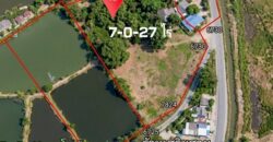 ขายที่ดินผังสีม่วงติดถนน ตำบลบางนาง อำเภอพานทอง ใกล้นิคมอมตะ
