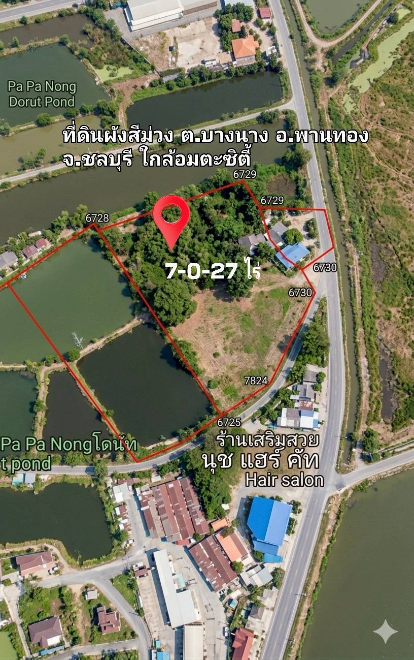 ขายที่ดินผังสีม่วงติดถนน ตำบลบางนาง อำเภอพานทอง ใกล้นิคมอมตะ