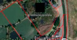 ขายที่ดินผังสีม่วงติดถนน ตำบลบางนาง อำเภอพานทอง ใกล้นิคมอมตะ