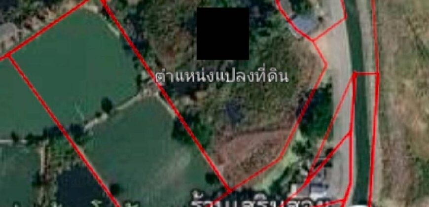 ขายที่ดินผังสีม่วงติดถนน ตำบลบางนาง อำเภอพานทอง ใกล้นิคมอมตะ