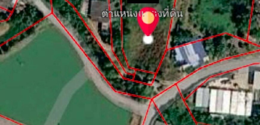 ขายที่ดินทำเลทอง EEC บางเกลือ บางปะกง
