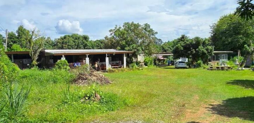 ให้เช่าที่ดินเชียงดาวใกล้ดอยหลวงเชียงดาว โอกาสสำหรับคนอยากทำโฮมสเตย์ ที่พักธรรมชาติ
