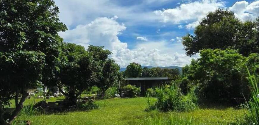 ให้เช่าที่ดินเชียงดาวใกล้ดอยหลวงเชียงดาว โอกาสสำหรับคนอยากทำโฮมสเตย์ ที่พักธรรมชาติ
