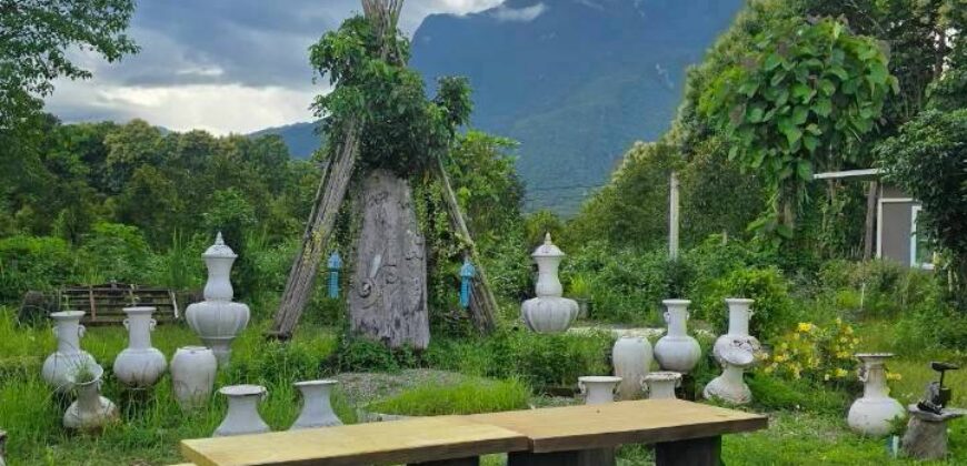 ให้เช่าที่ดินเชียงดาวใกล้ดอยหลวงเชียงดาว โอกาสสำหรับคนอยากทำโฮมสเตย์ ที่พักธรรมชาติ