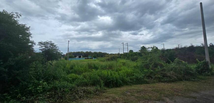 ขายที่ดินจอมบึง ราชบุรี 80 ตร.วา เพียง 550,000 บาท