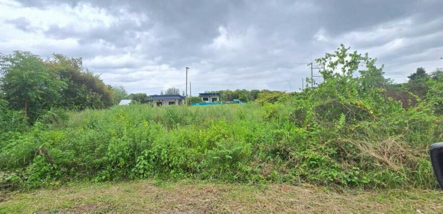 ขายที่ดินจอมบึง ราชบุรี 80 ตร.วา เพียง 550,000 บาท