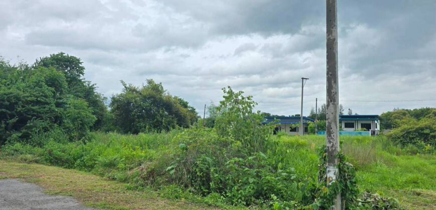 ขายที่ดินจอมบึง ราชบุรี 80 ตร.วา เพียง 550,000 บาท
